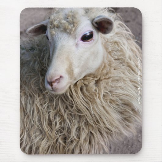 Tapis De Souris Mouton drôle (Devant)
