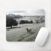 Tapis De Souris Moutons dans une vallée gelée (Avec souris)