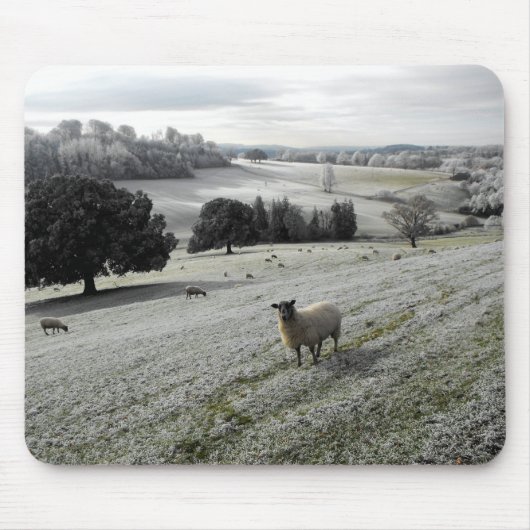 Tapis De Souris Moutons dans une vallée gelée (Devant)