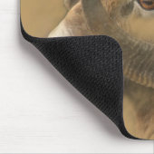 Tapis De Souris Moutons de Big Horn (Coin)