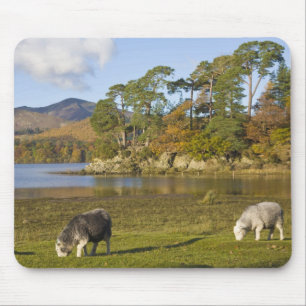 Tapis De Souris Moutons Herdwick à Friars Crag, Derwentwater, 2