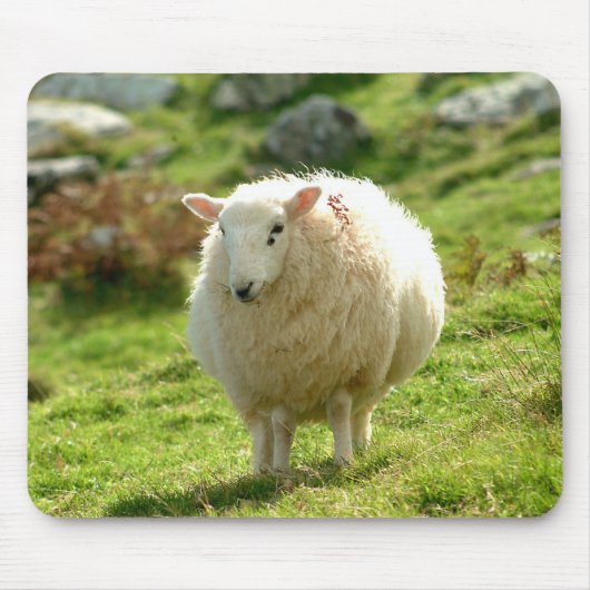 Tapis De Souris Moutons Mousepad de l'Irlande (Devant)