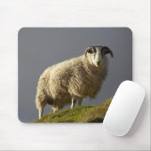 Tapis De Souris Moutons, péninsule de Trotternish, île de Skye, (Avec souris)