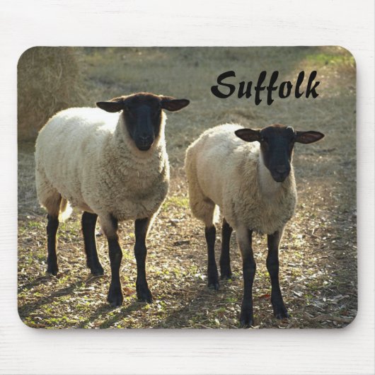 Tapis De Souris Moutons Suffolis Mouton Lard Jour Soleil Bricolage (Devant)