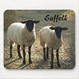 Tapis De Souris Moutons Suffolk dans une cour de ferme au soleil d