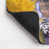 Tapis De Souris Moutons sur la route de campagne (Coin)