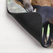 Tapis De Souris Moutons sur le Cameroun et agneau sucer (Coin)