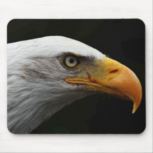 Tapis De Souris Mpcn de Bald Eagle