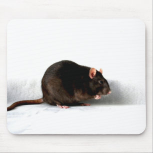 Tapis De Souris Mpcnm