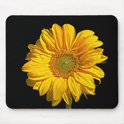 Tapis De Souris Mpcnm (Devant)