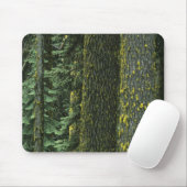 Tapis De Souris Mt. Ashland, Forêt nationale Rogue, (Avec souris)