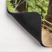 Tapis De Souris Muir Woods Path II Nature Photography (Coin)