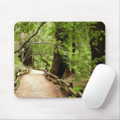 Tapis De Souris Muir Woods Path II Nature Photography (Avec souris)