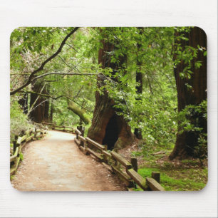 Tapis De Souris Muir Woods Path II Nature Photography