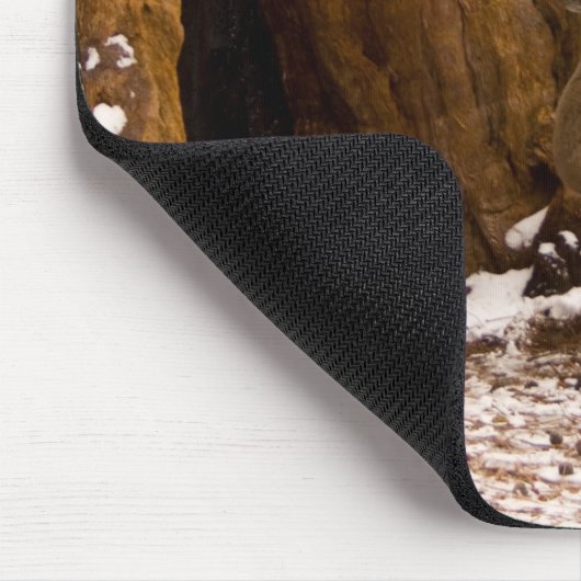 Tapis De Souris Mule Deer (Coin)