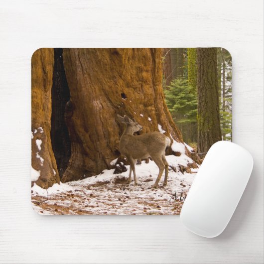 Tapis De Souris Mule Deer (Avec souris)