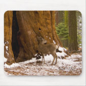 Tapis De Souris Mule Deer (Devant)