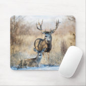 Tapis De Souris Mule Deer Buck et Doe (Avec souris)