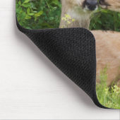 Tapis De Souris Mule Deer Doe avec Fawn (Coin)