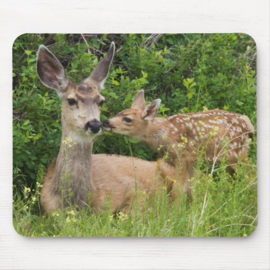 Tapis De Souris Mule Deer Doe avec Fawn (Devant)