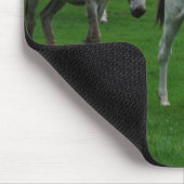 Tapis De Souris Mules et ânes Mousepad (Coin)
