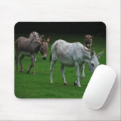 Tapis De Souris Mules et ânes Mousepad (Avec souris)