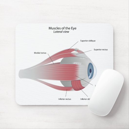Tapis De Souris Muscles de l'oeil Mousepad (Avec souris)