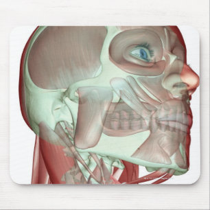 Tapis De Souris Musculoskeleton de la tête et du cou 3