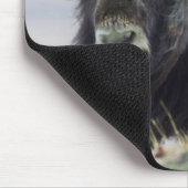 Tapis De Souris Musk Ox with Calf (Coin)