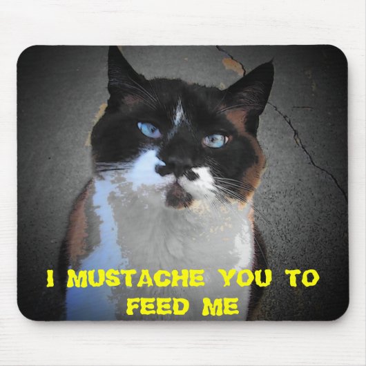 TAPIS DE SOURIS MUSTACHE YOU CAT EST FAIM (Devant)