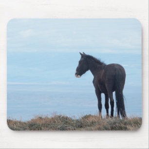 Tapis De Souris Mustang Sauvage