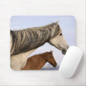 Tapis De Souris Mustangs espagnols (Avec souris)