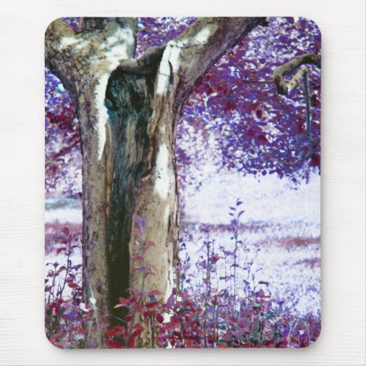 Tapis De Souris Mystical tree (Devant)