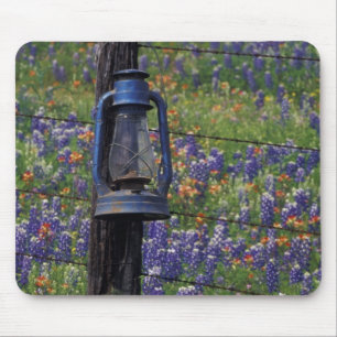 Tapis De Souris N.A., États-Unis, Texas, Llano, Lanterne bleue et