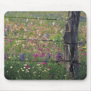 Tapis De Souris N.A, États-Unis, Texas, Lytle, Poteau de clôture e