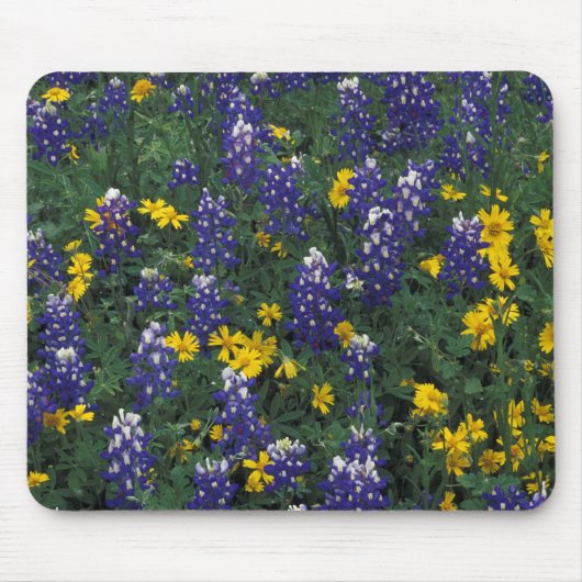 Tapis De Souris N.A., États-Unis, Texas, Marble Falls, Blue Bonnet (Devant)