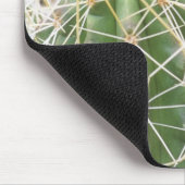 Tapis De Souris N.A., USA, AZ, Phoenix, Desert Botanical (Coin)