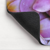 Tapis De Souris N.A., USA, Maui, Hawaï. La Plumeria rose fleurit. (Coin)