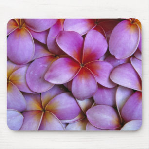 Tapis De Souris N.D., États-Unis, Maui, Hawaï. Fleurs de frangipan