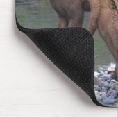 Tapis De Souris N né augmenté dans Talkeetna, Alaska (Coin)