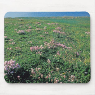 Tapis De Souris NA, États-Unis, Alaska, Île Aléoutienne, Paysage a