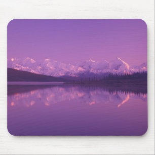 Tapis De Souris NA, États-Unis, Alaska, Parc national Denali, Wond
