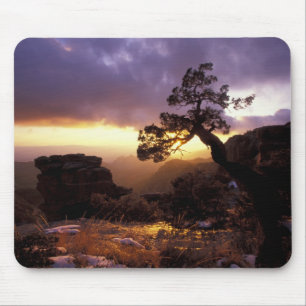 Tapis De Souris NA, États-Unis, Arizona, Tucson, Coucher de soleil