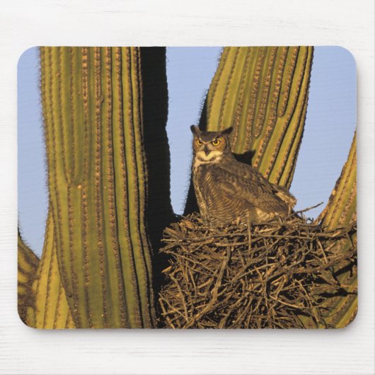 Tapis De Souris NA, États-Unis, Arizona, Tucson. Grand-duc d'Améri (Devant)