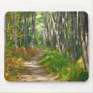 Tapis De Souris NA, États-Unis, Maine. Sentier Jessup à Acadia Na