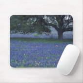 Tapis De Souris NA, Texas, Devine, Chêne et bleuets (Avec souris)