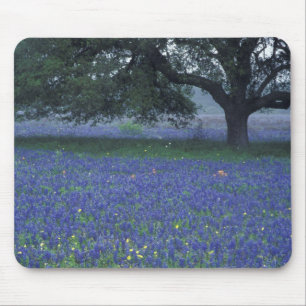 Tapis De Souris NA, Texas, Devine, Chêne et bleuets