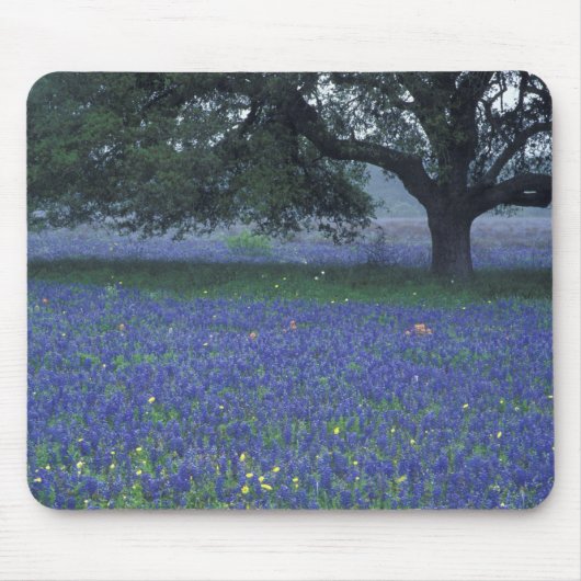 Tapis De Souris NA, Texas, Devine, Chêne et bleuets (Devant)