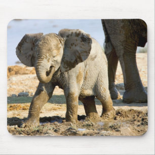 Tapis De Souris Namibie, Afrique : bébé éléphant d'Afrique