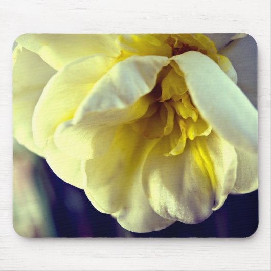 Tapis De Souris Narcissus Daffodil (Devant)